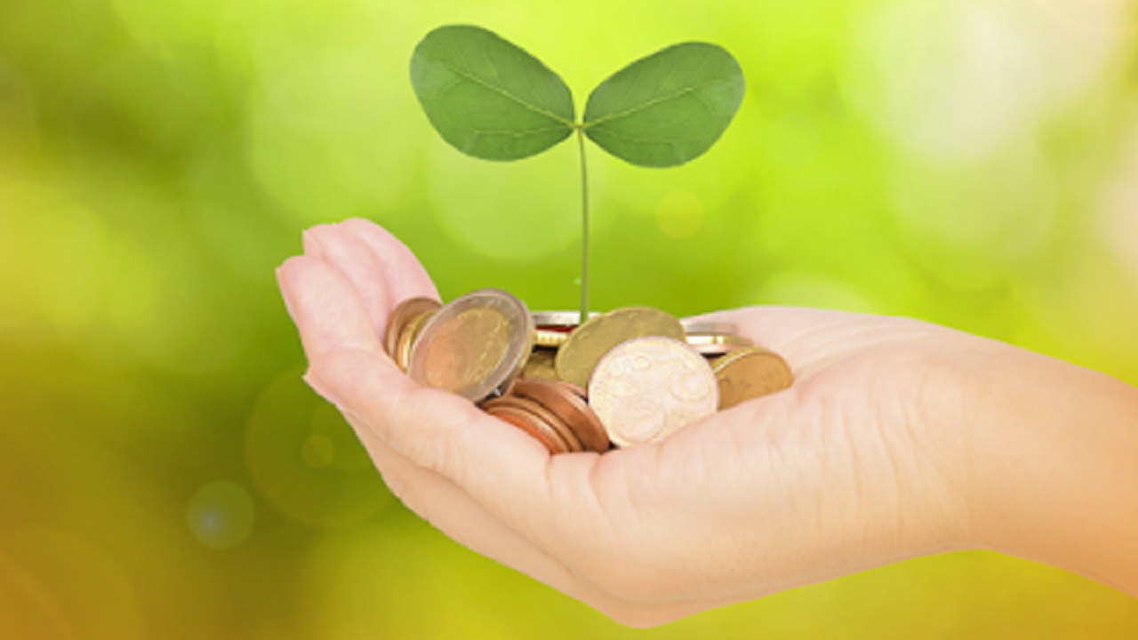 Panduan Investasi untuk Pemula: Memahami Dasar-Dasar Pasar Modal