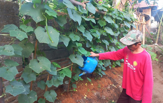Inspiratif, Warga Desa Lorejo Ini Sukses Budidaya Melon dan Sayuran Di Pekarangan Rumah