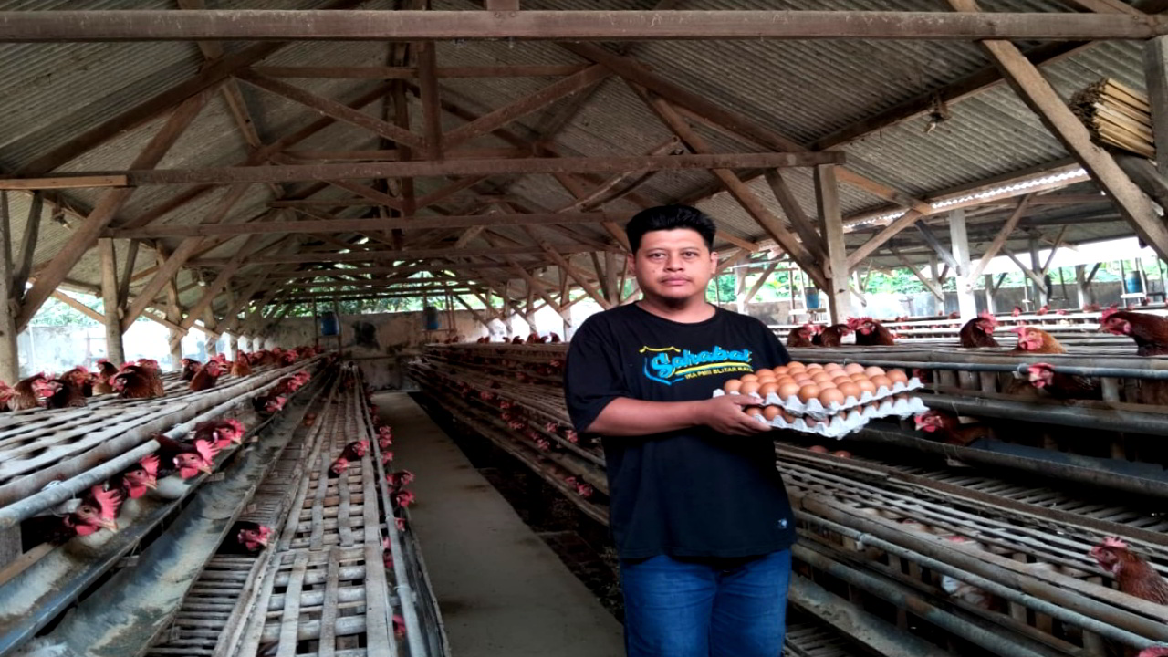 Menjaga Kedaulatan Peternak Rakyat Blitar di Tengah Ancaman Investasi Besar